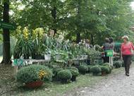 Mostra-mercato Vanzo Floreale 2009